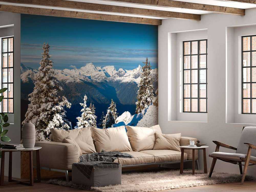 Pins enneigés avec vue sur la montagne