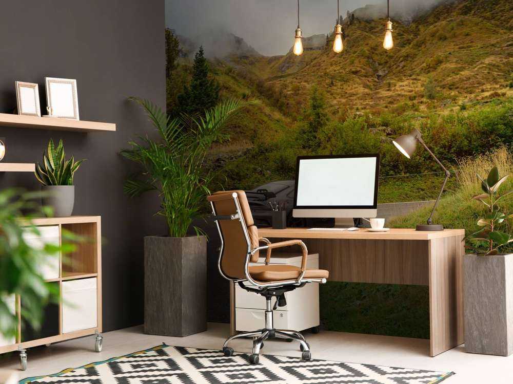 Voiture de sport dans le brouillard de montagne