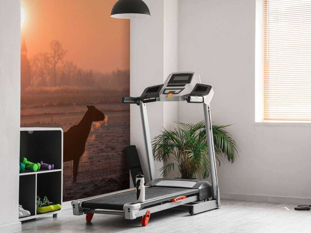 Cheval dans la lueur du matin