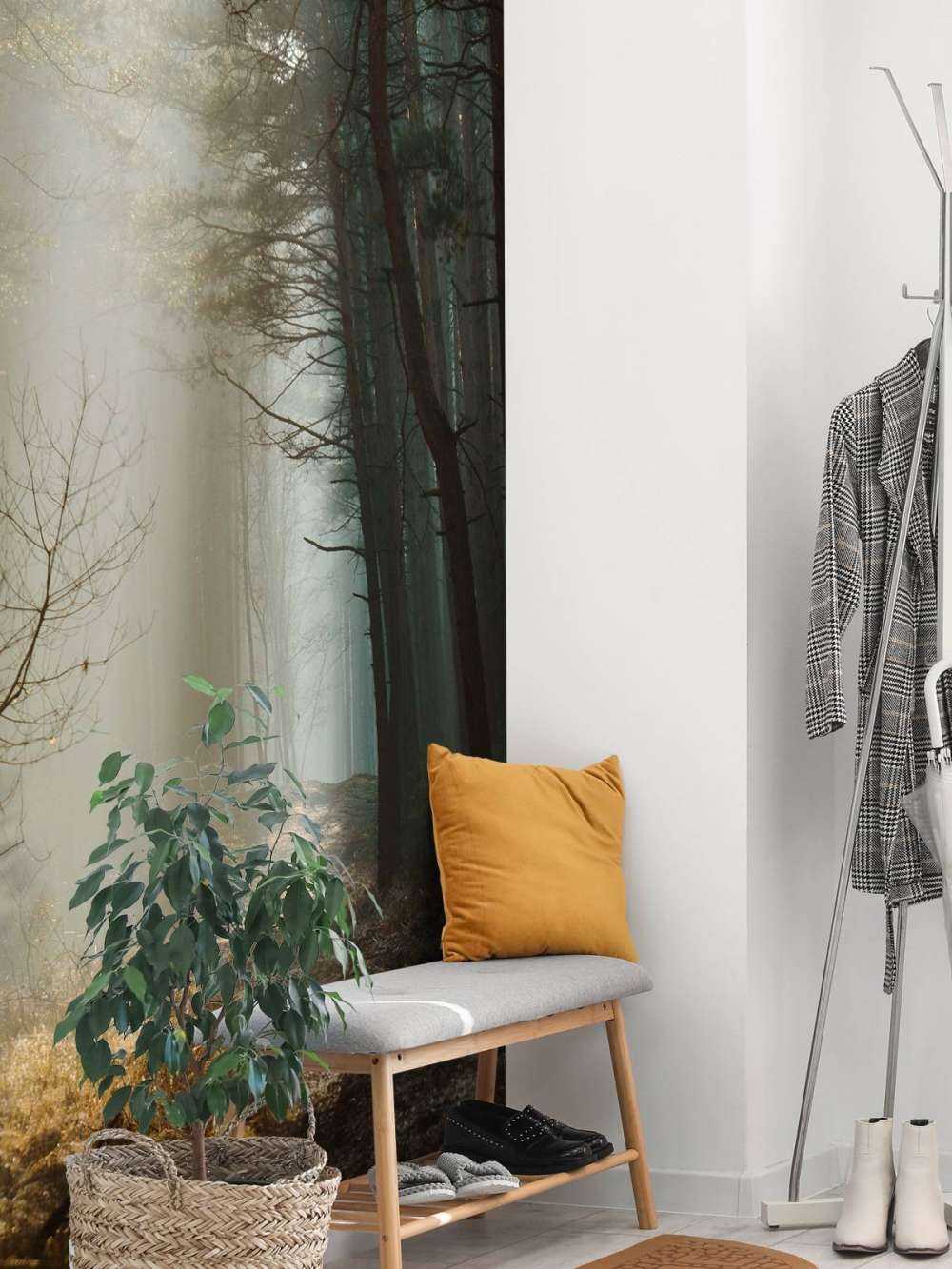 Rayons de lumière à travers la forêt