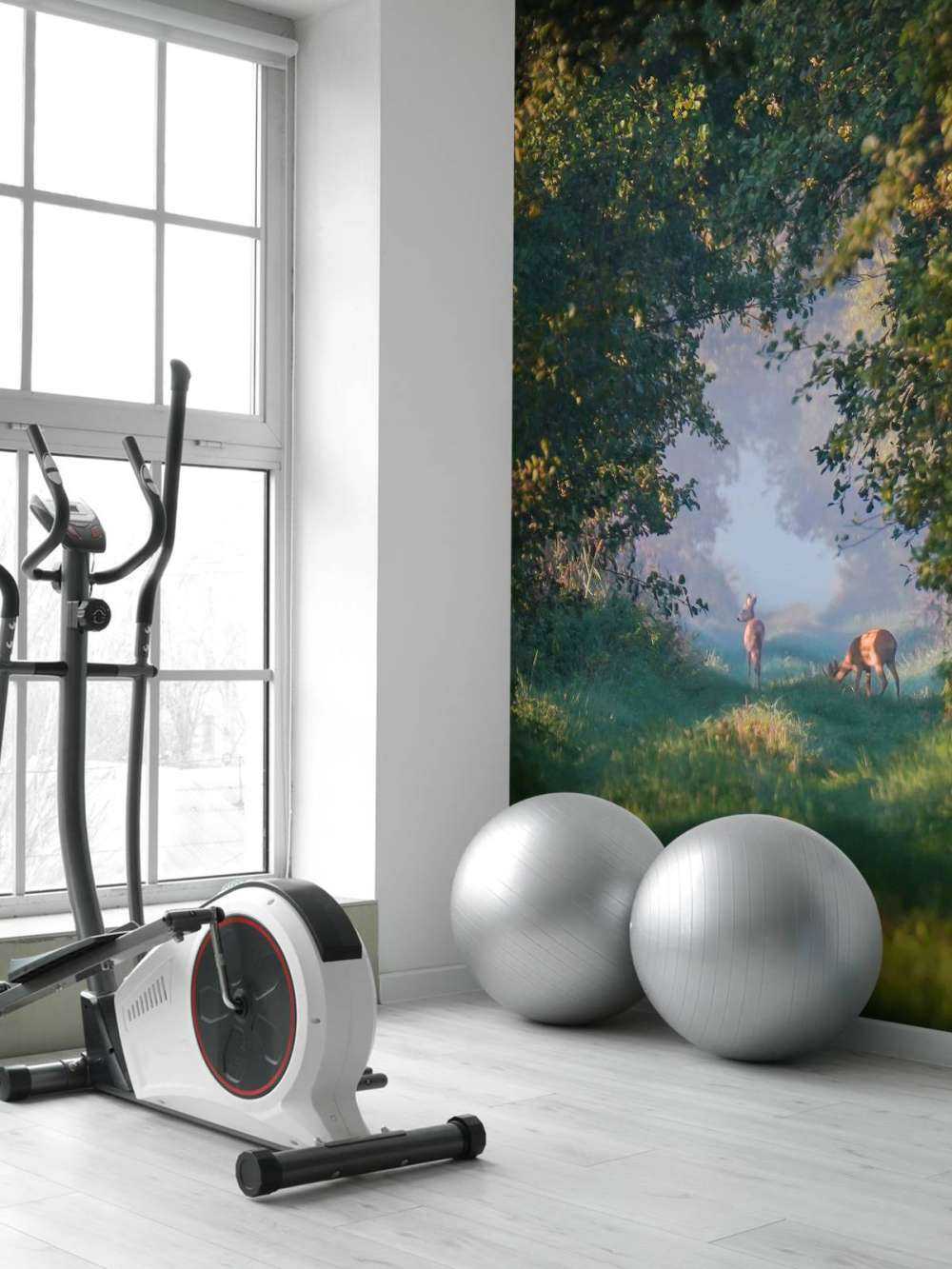 Animaux sauvages dans la lumière du matin