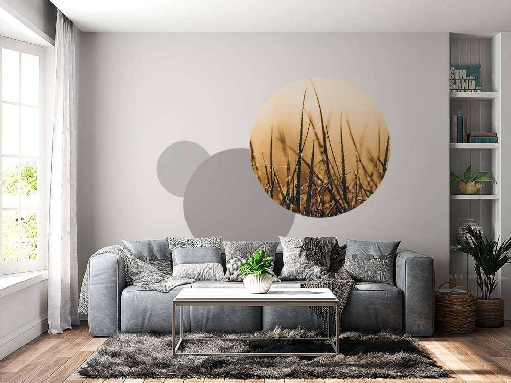 Herbe de rosée étincelante