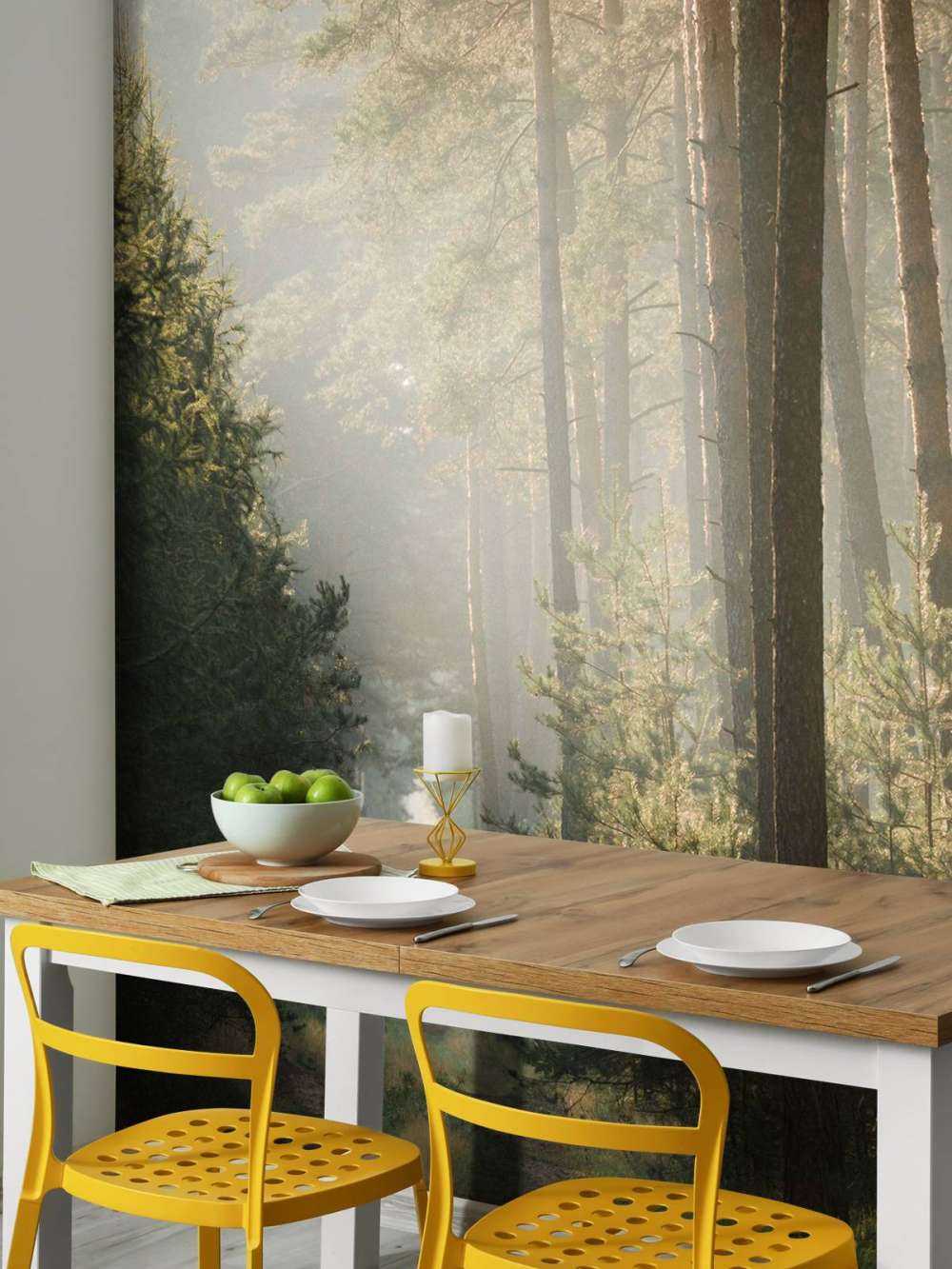 Jeu de lumière dans la forêt de pins