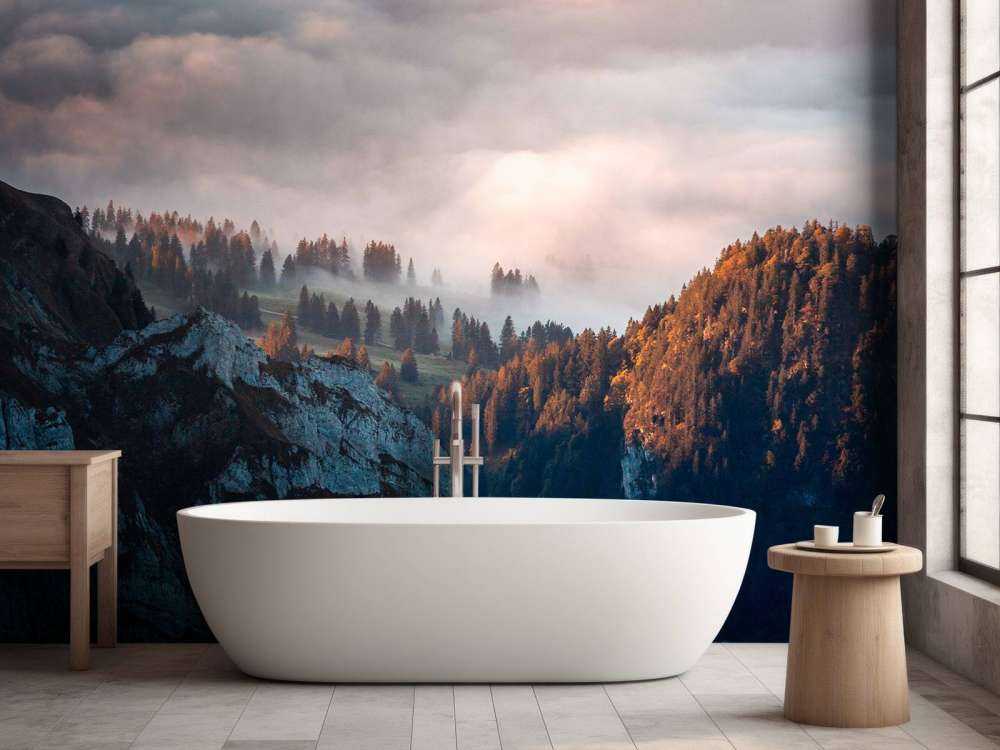 Lisière de forêt dans la brume du matin.