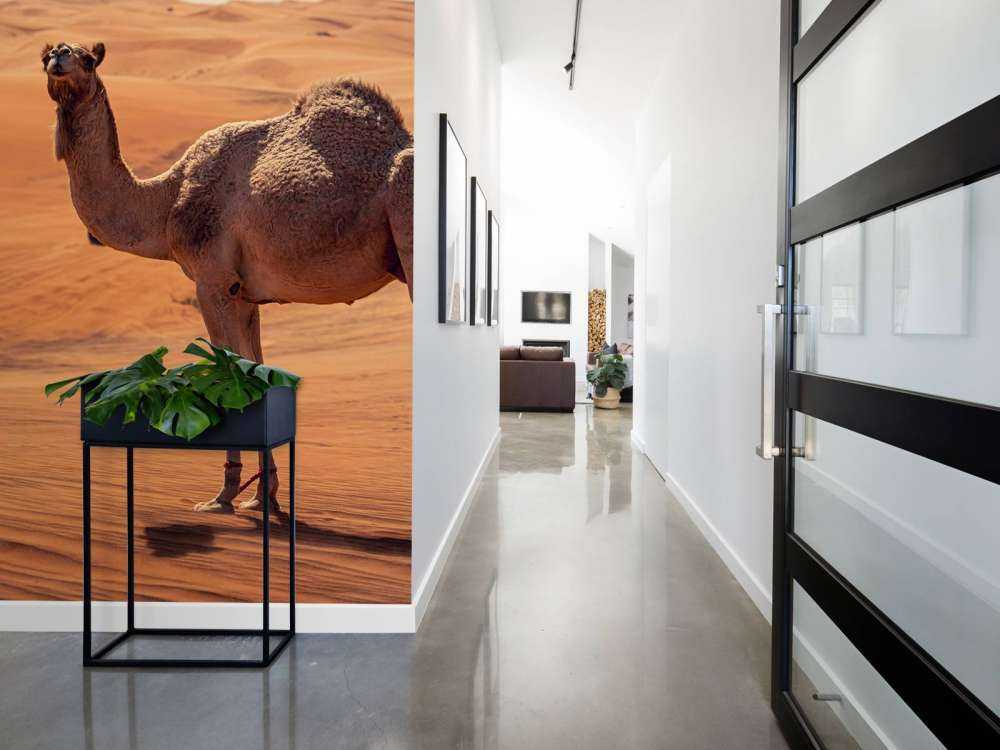 Aventure tout-terrain dans le désert