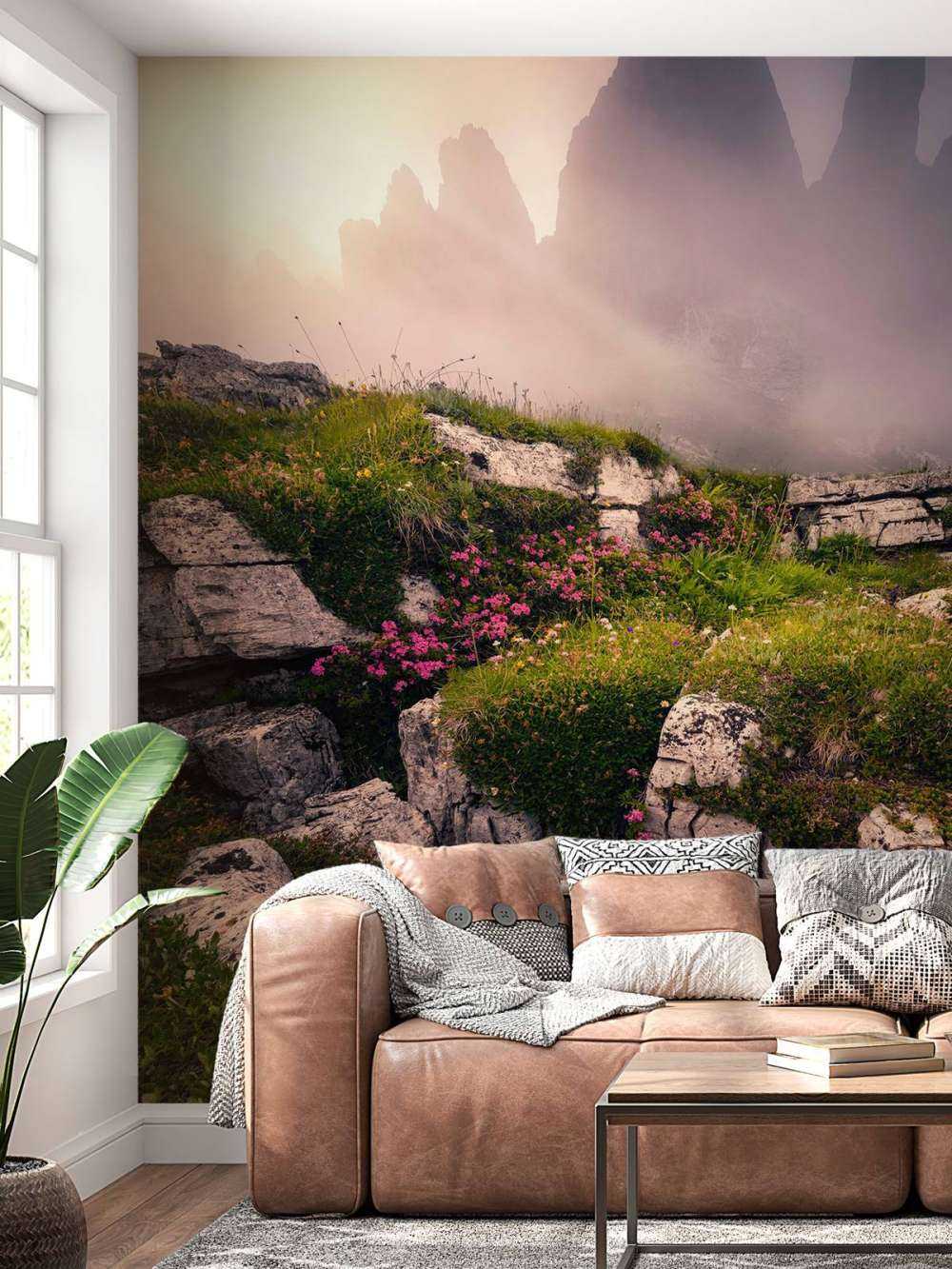 Nevelige Bergtoppen et Fleurs des Alpes