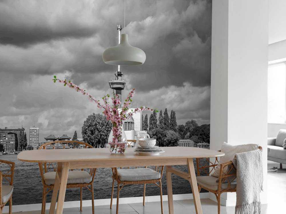 Euromast et Maas en monochrome