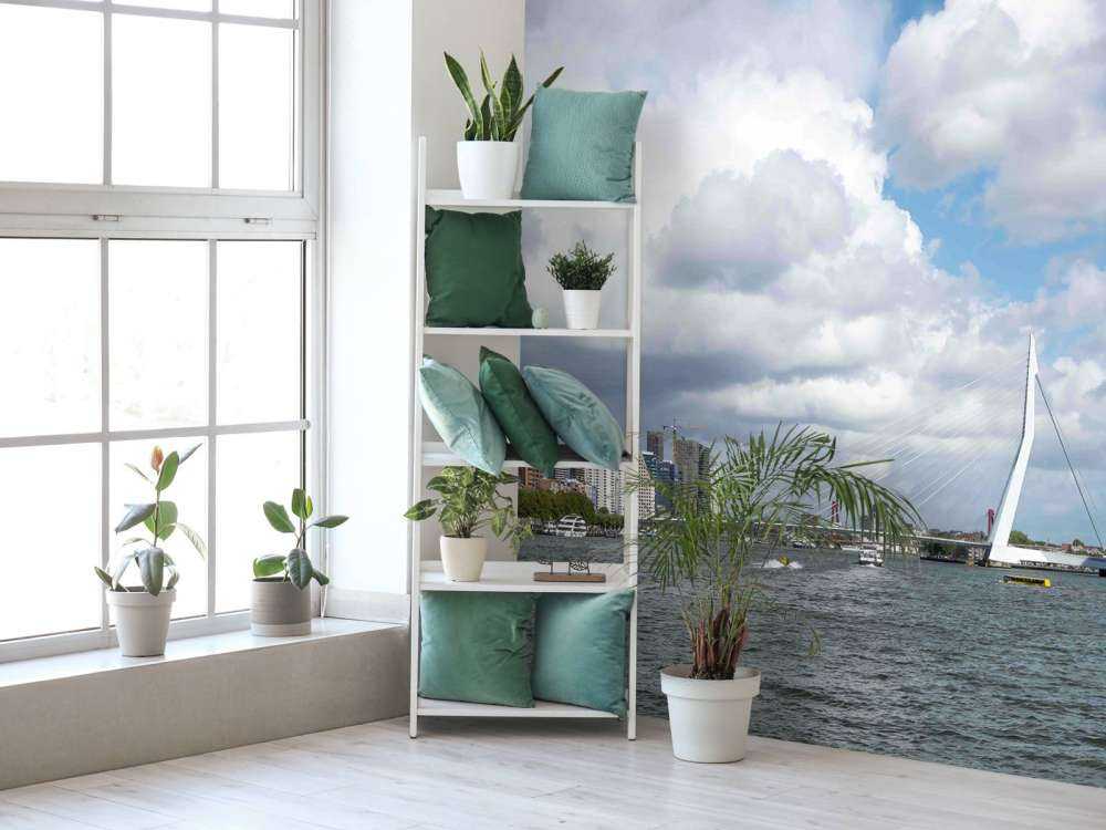 Vue de la ville avec le pont Erasmus