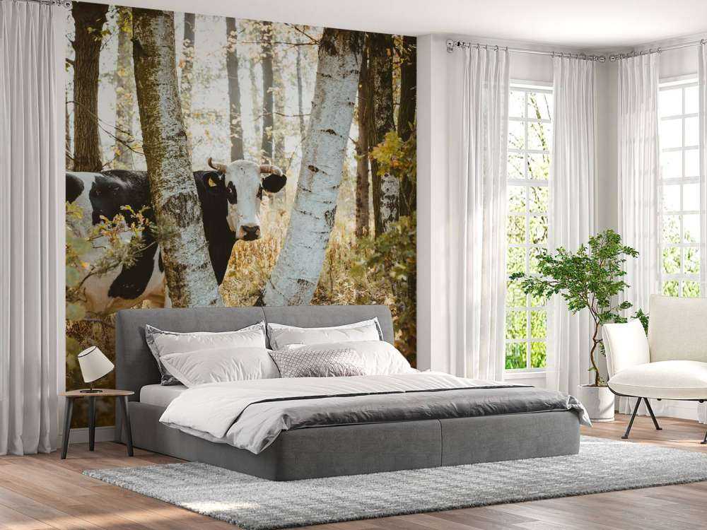 Vache curieuse dans la forêt