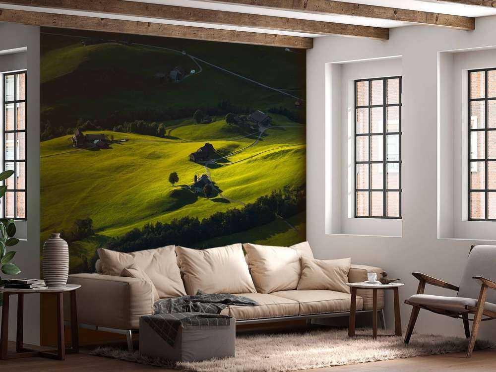 Collines vallonnées à la lumière du soir.