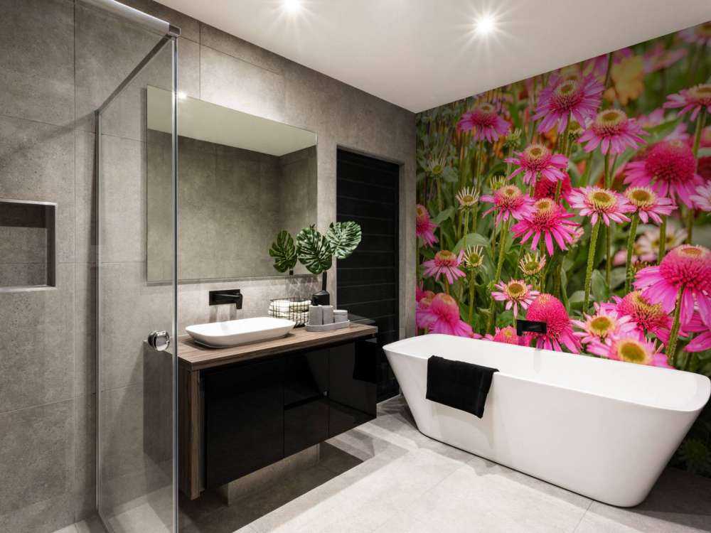 Les échinacées dans le jardin