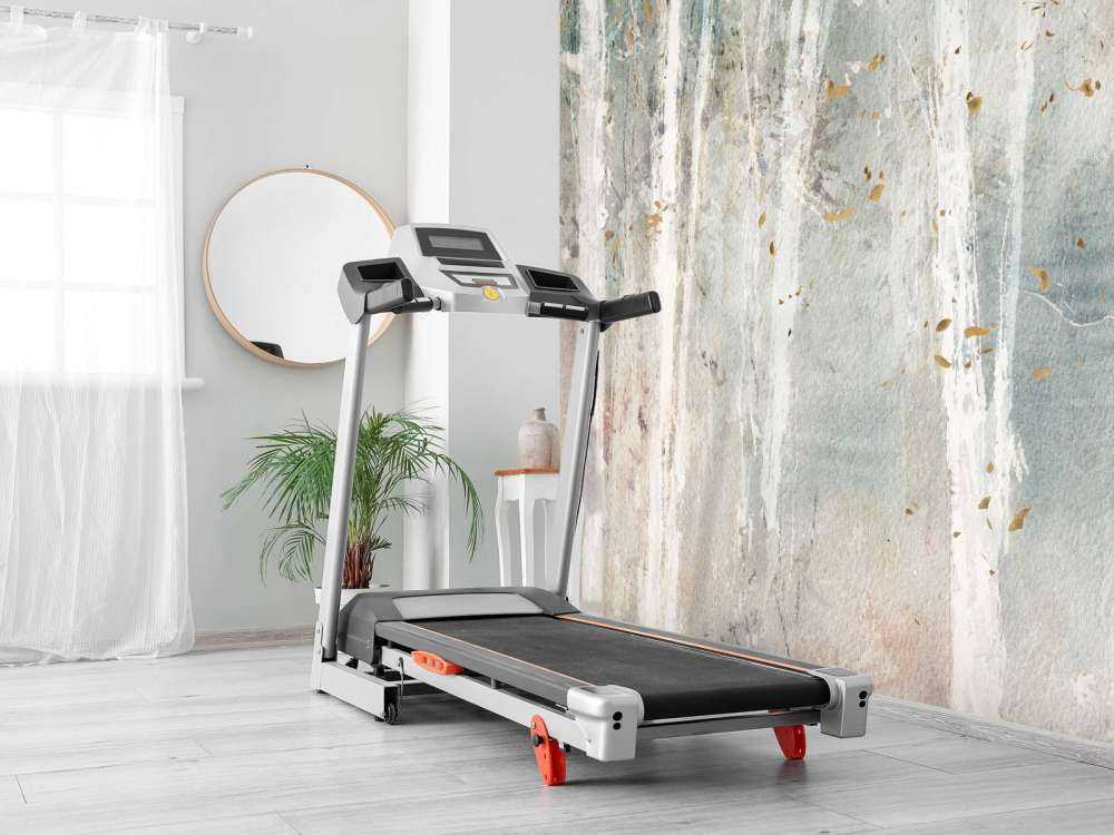 Une promenade en forêt IV