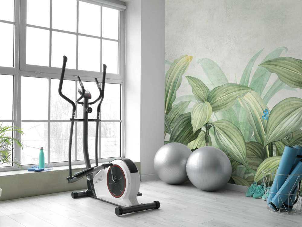 Herbe à mouche avec des fleurs