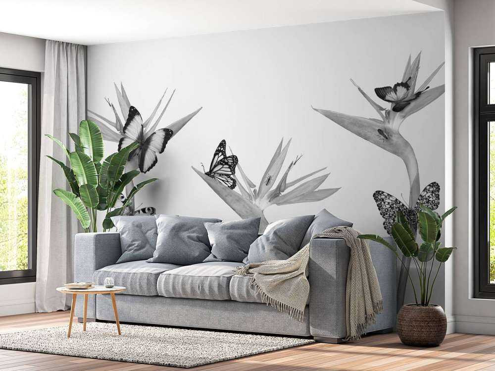 Papillons sur fleurs d'oiseaux de paradis