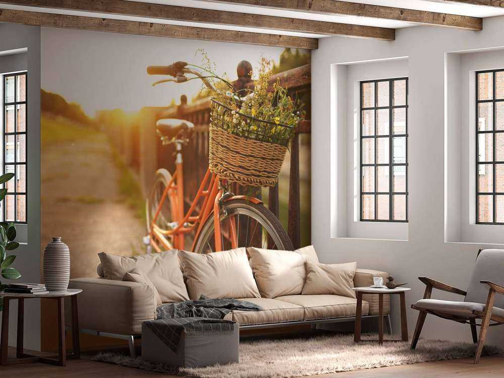 Vélo rouge avec panier