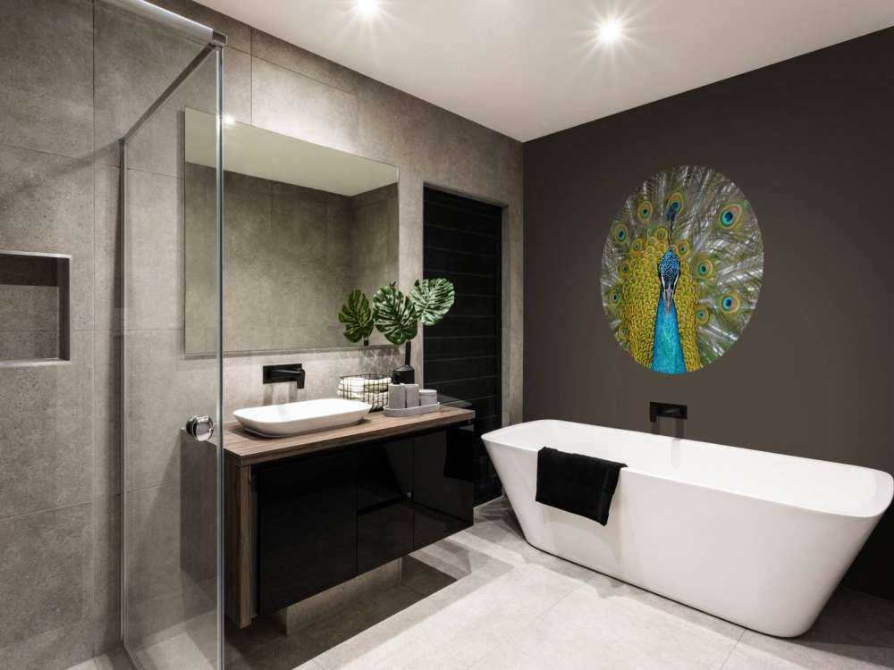 Vue de face d'un paon