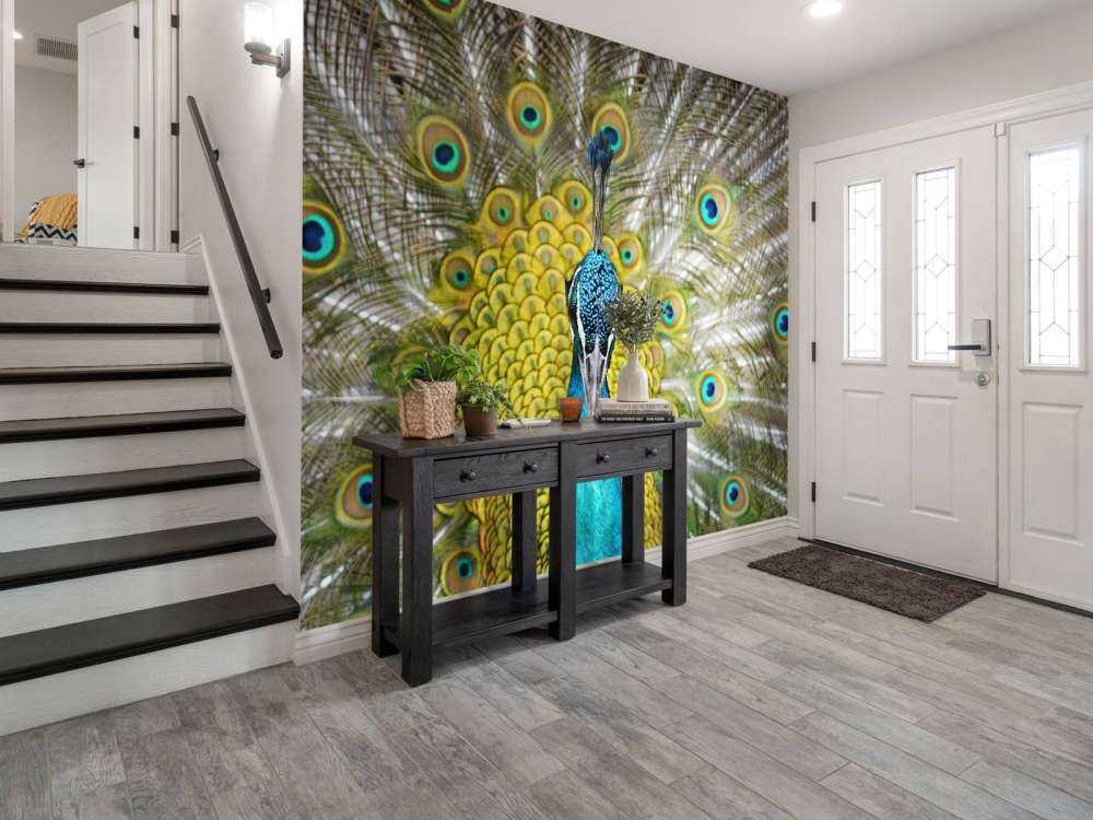 Vue de face d'un paon