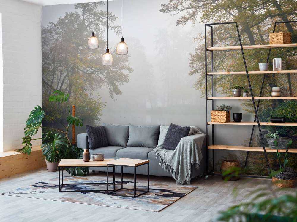 Étang de forêt dans la brume