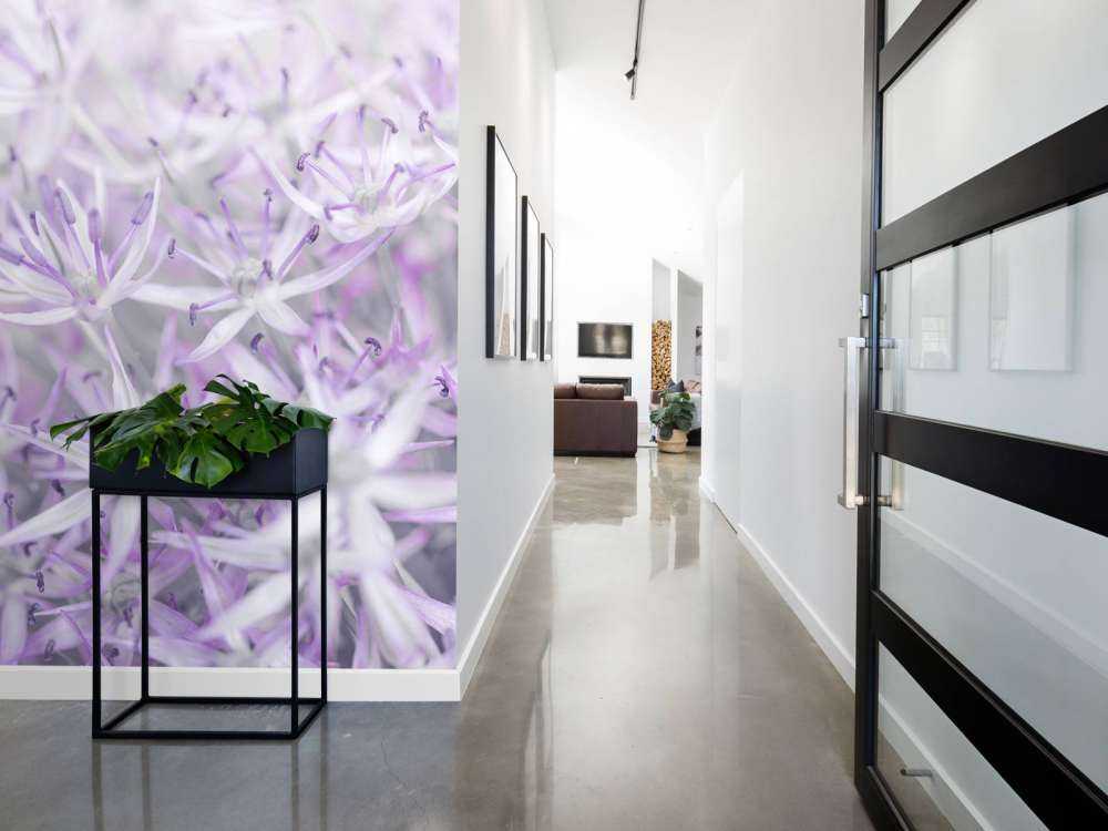 Fleurs d'allium en gros plan