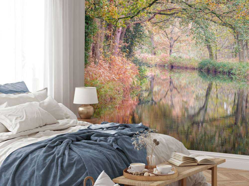 Forêt couverte et colorée