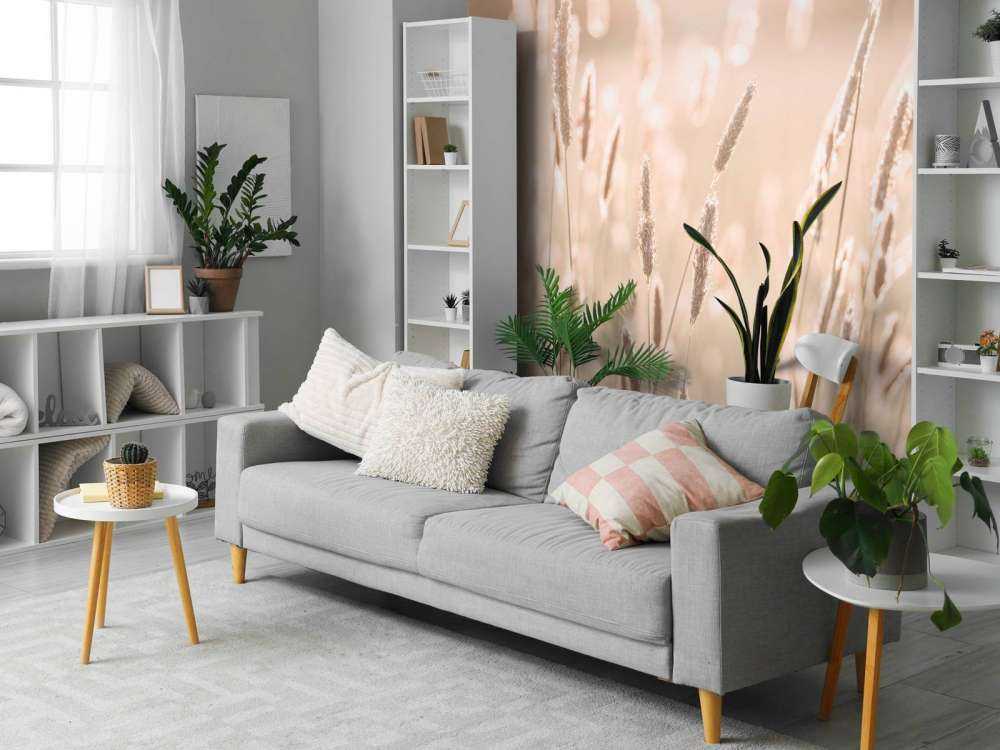 Lumière du soleil à travers la prairie