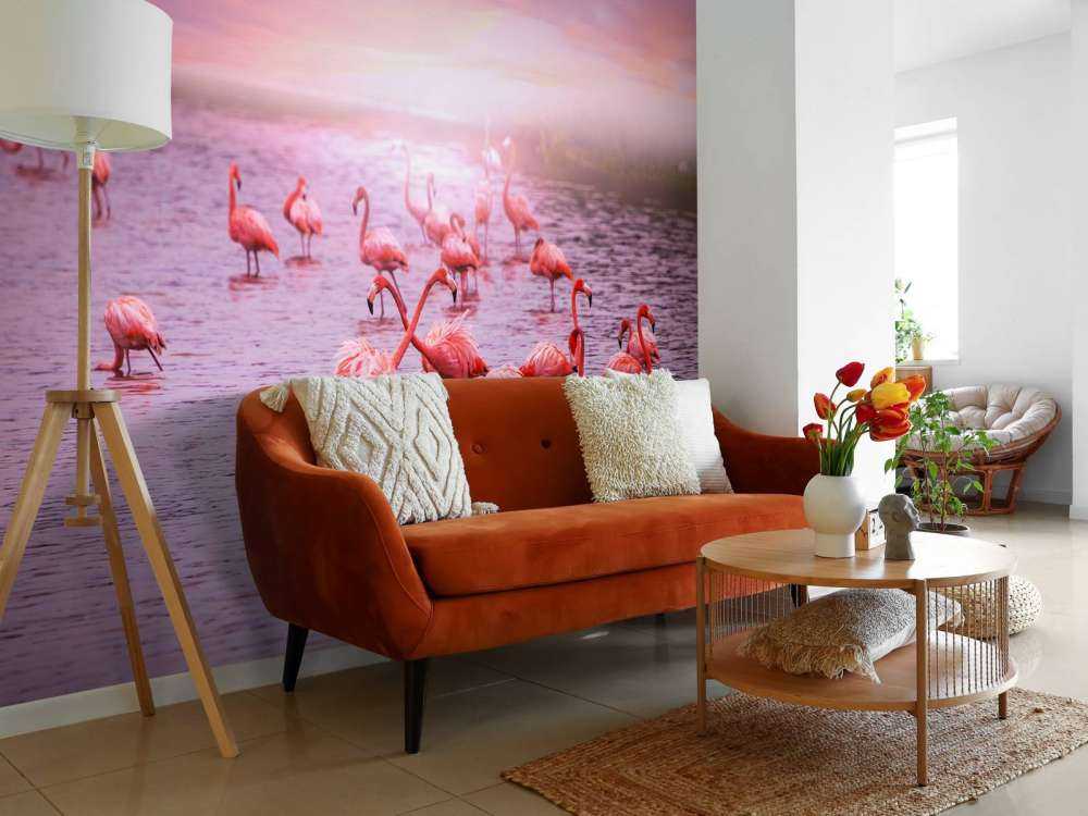 Flamants et le coucher de soleil