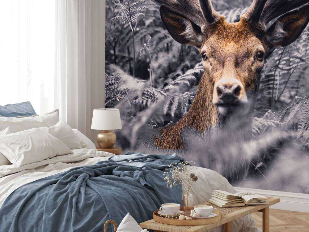 Gros plan sur un cerf