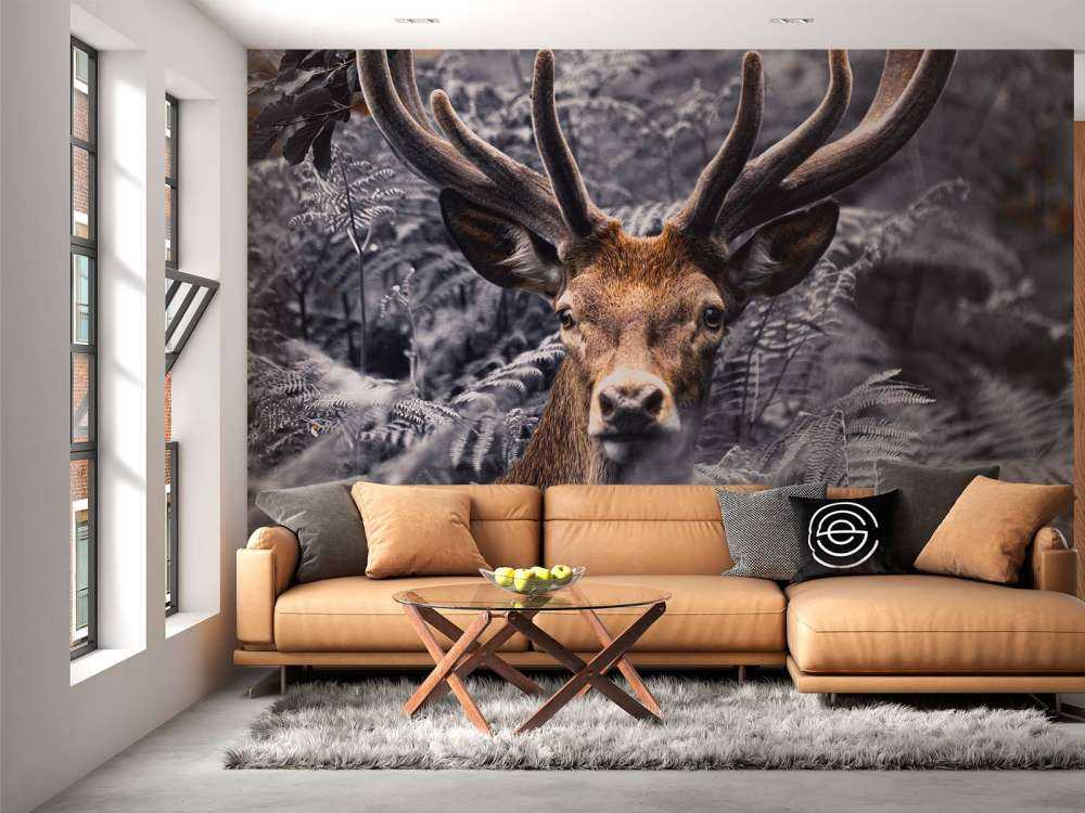 Gros plan sur un cerf