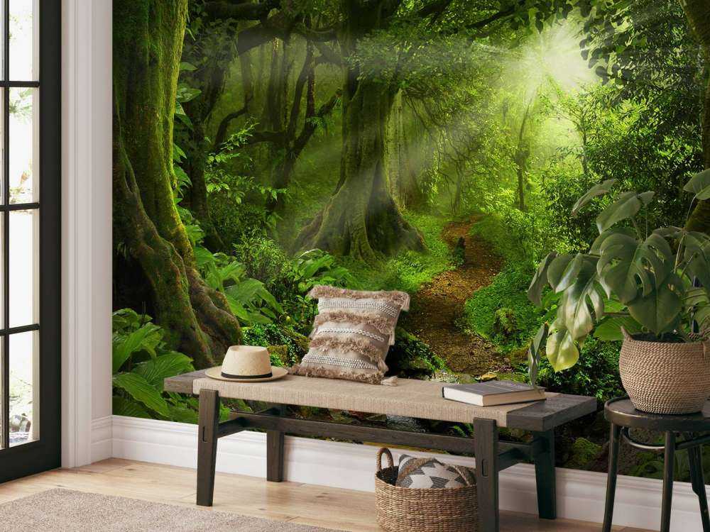 Jungle tropicale avec lumière du soleil