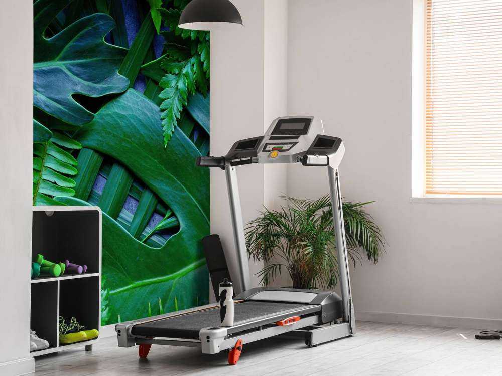 Feuilles de jungle vertes