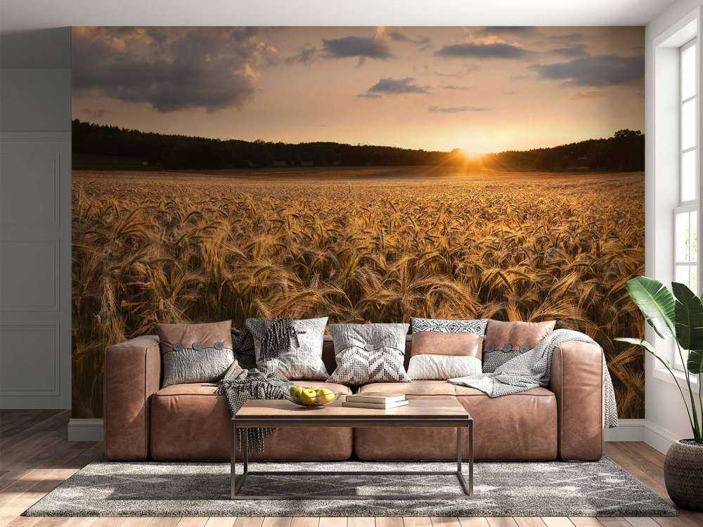 Fields of gold