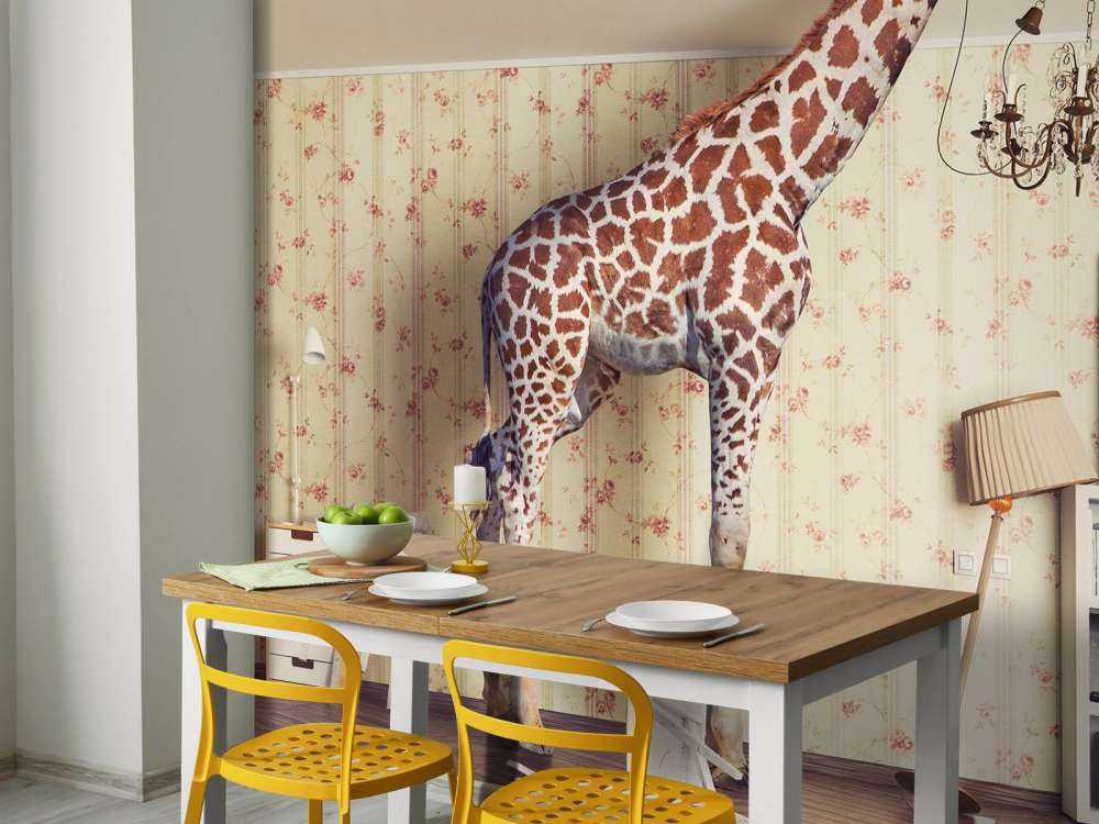 Girafe dans le salon