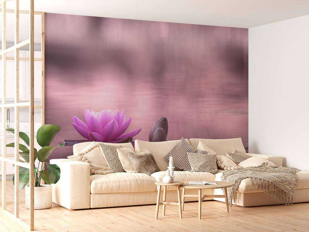 Fleur de lotus dans un étang