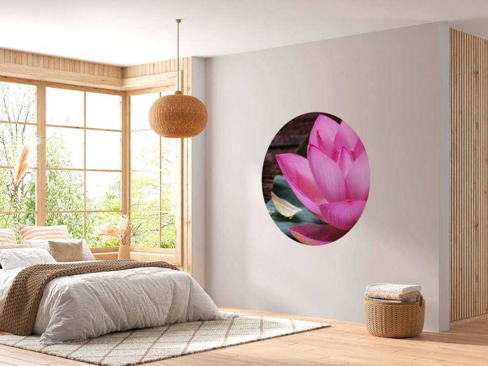 Gros plan sur le lotus rose