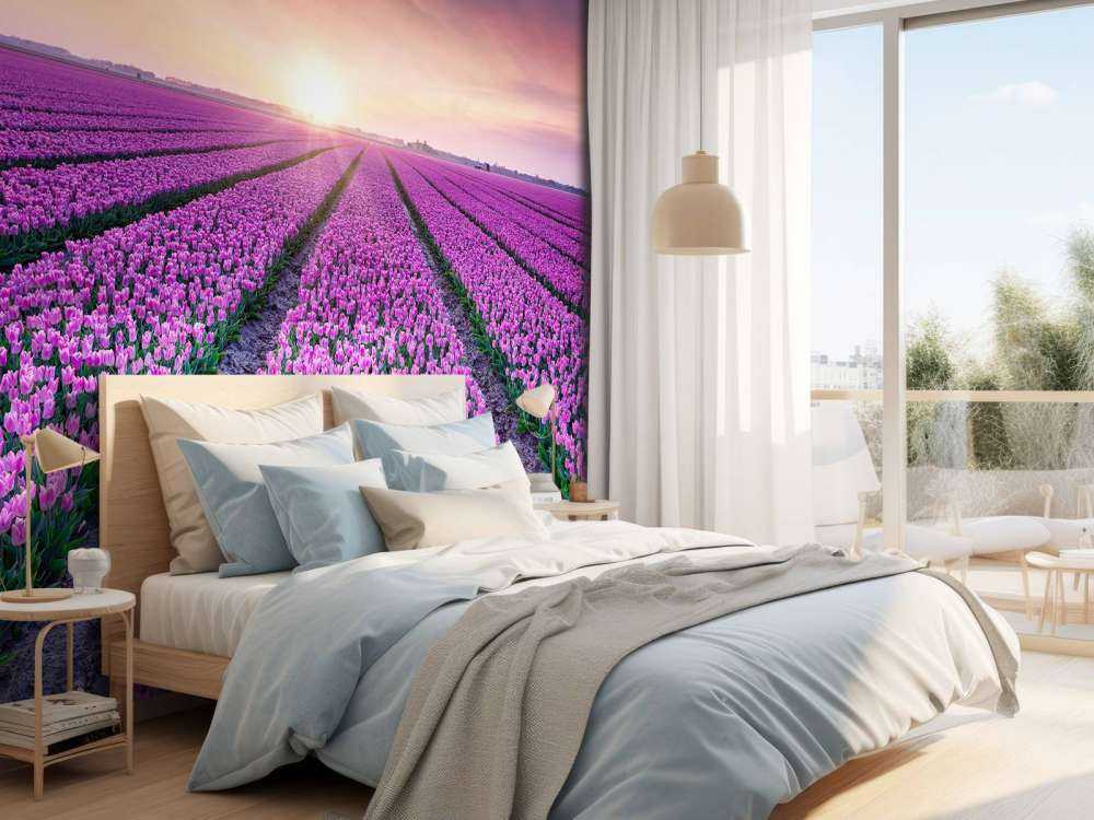 Champ de tulipes au lever du soleil