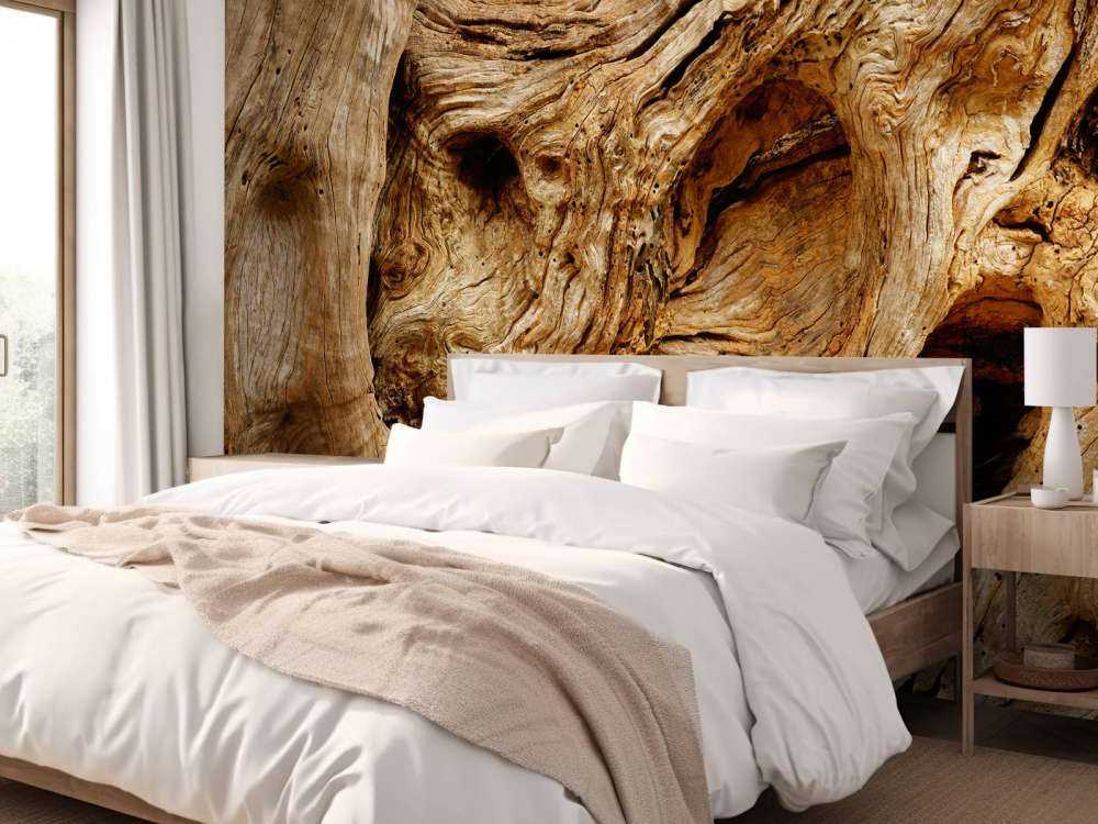 Gros plan sur un vieil arbre