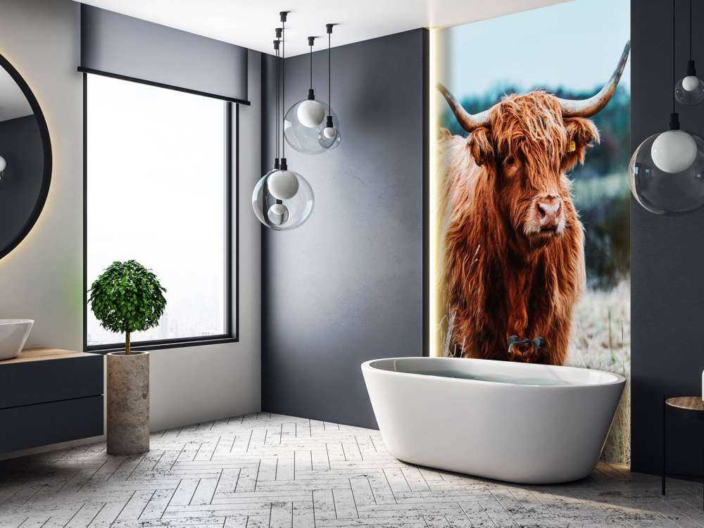 Un Highland écossais dans la forêt