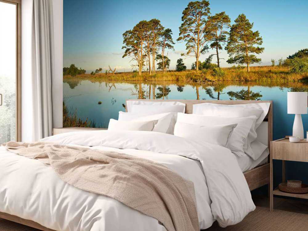 Réflexion dans un lac de forêt