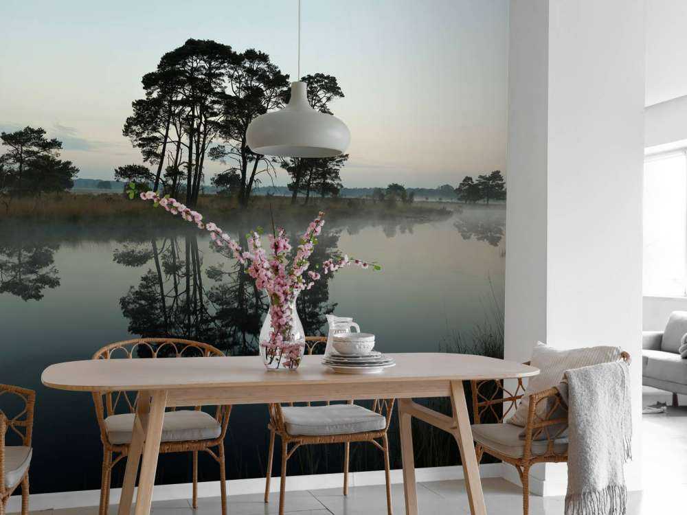 Les arbres le long des forêts