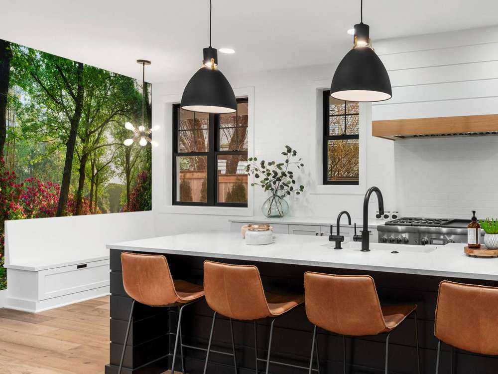 Lever de soleil sur le chemin avec des rhododendrons