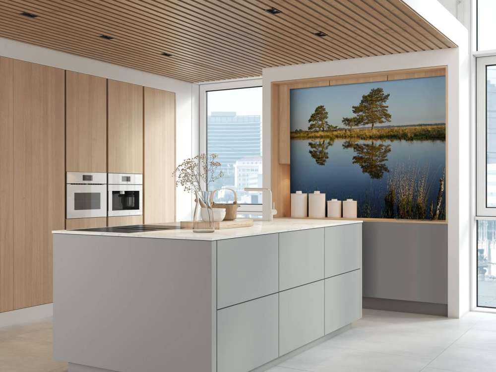 La forêt dans la lande