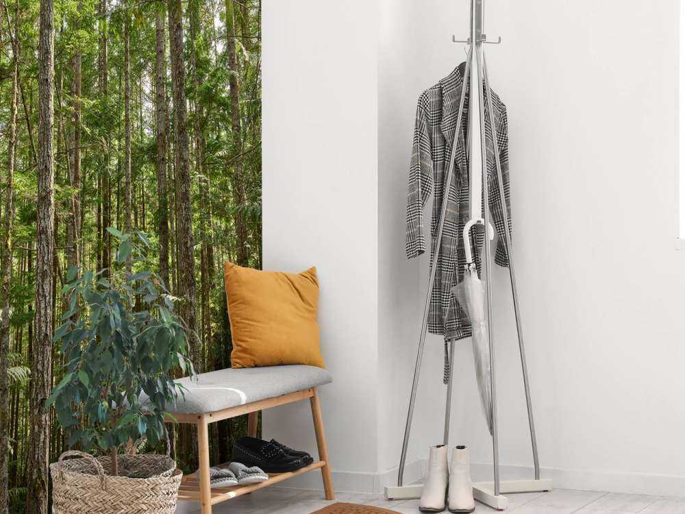 Arbres minces dans la forêt