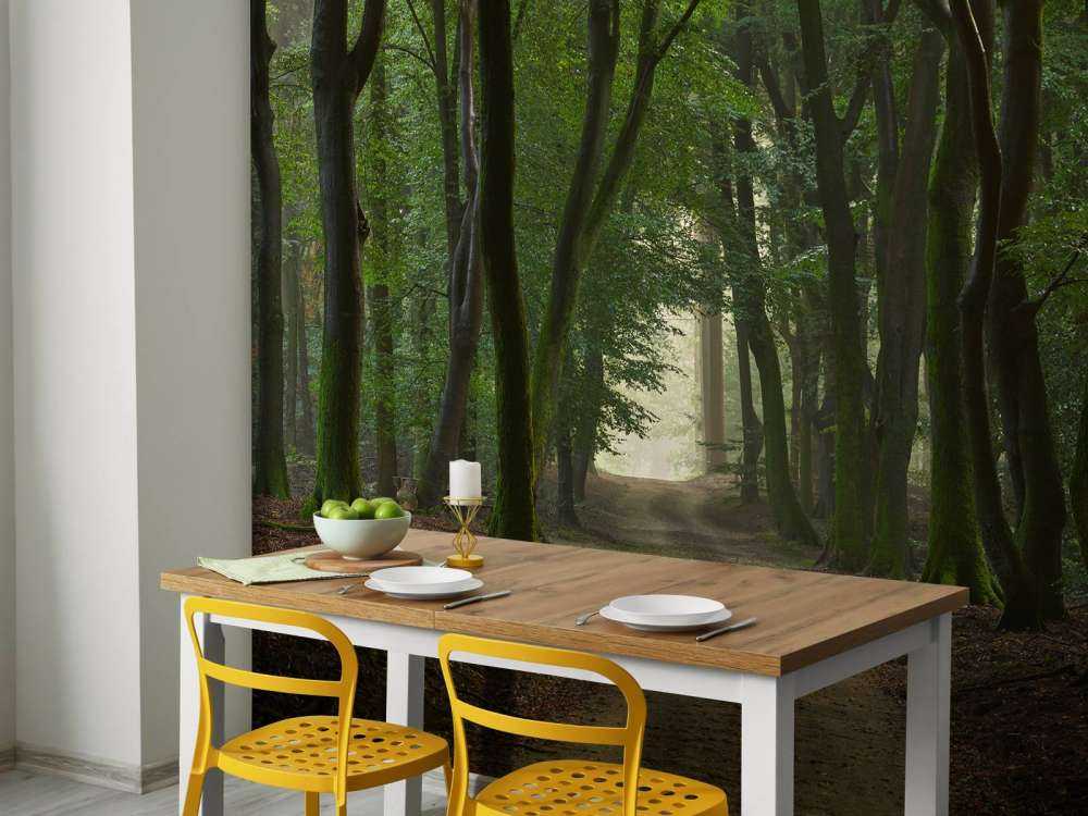 Sentier de sable dans la forêt