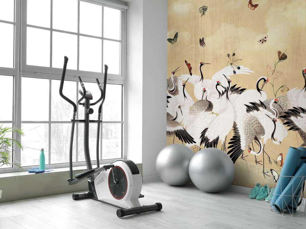 Danse dorée des grues