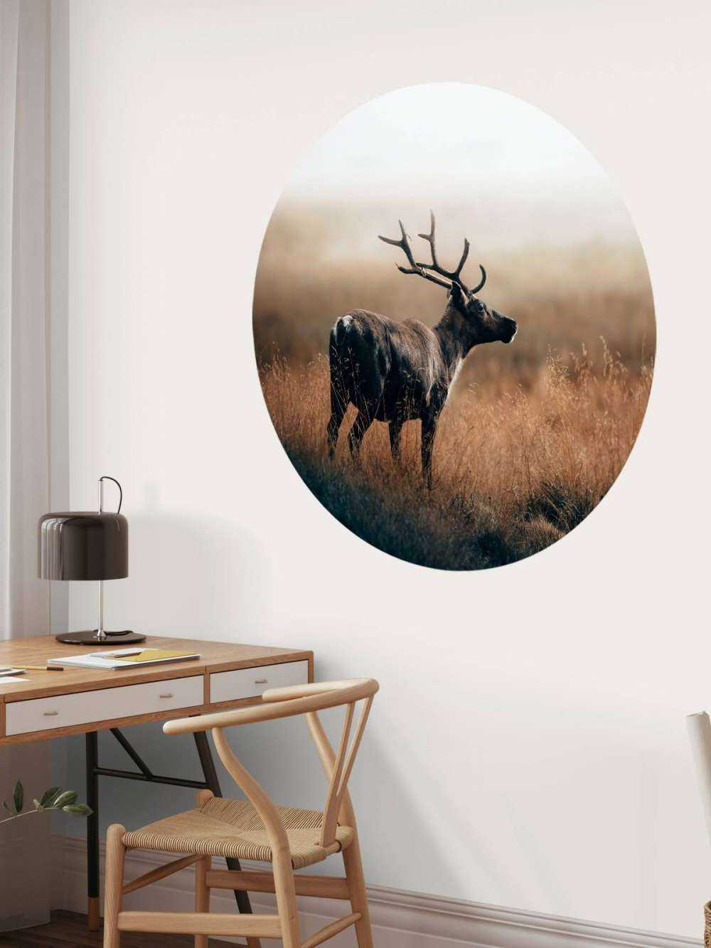 Renne dans les hautes herbes