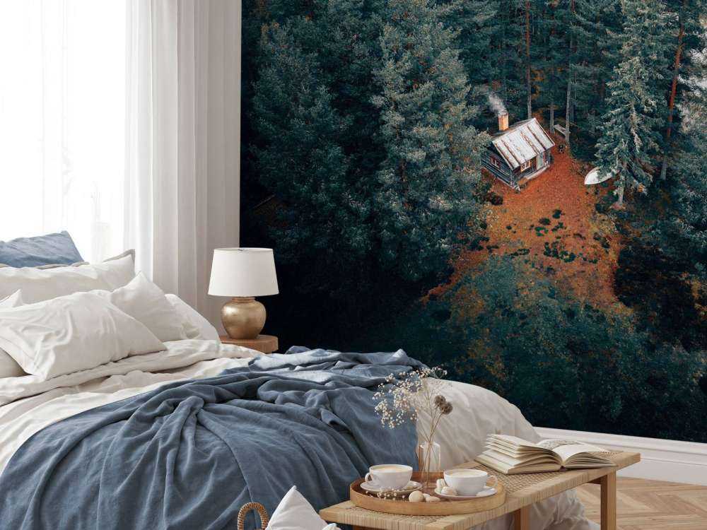 Cabane entourée de forêts et de lacs