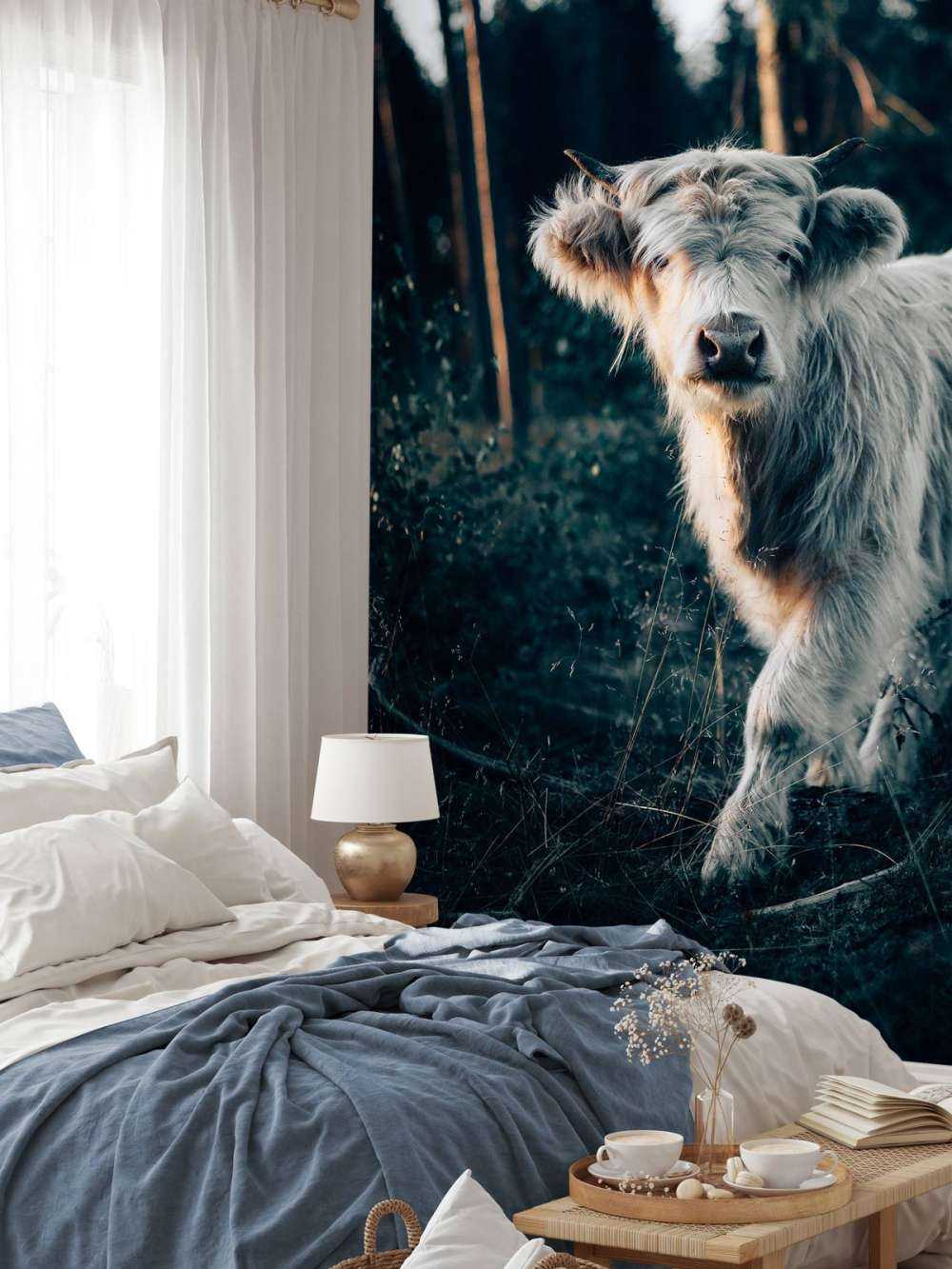 Louveteau écossais Highlander