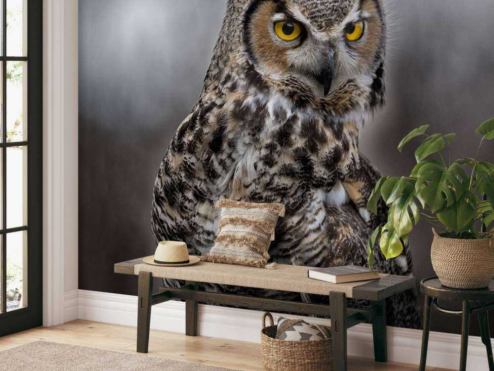 Chouette à plumes brunes