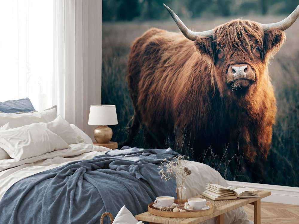 Highlander écossais en gros plan