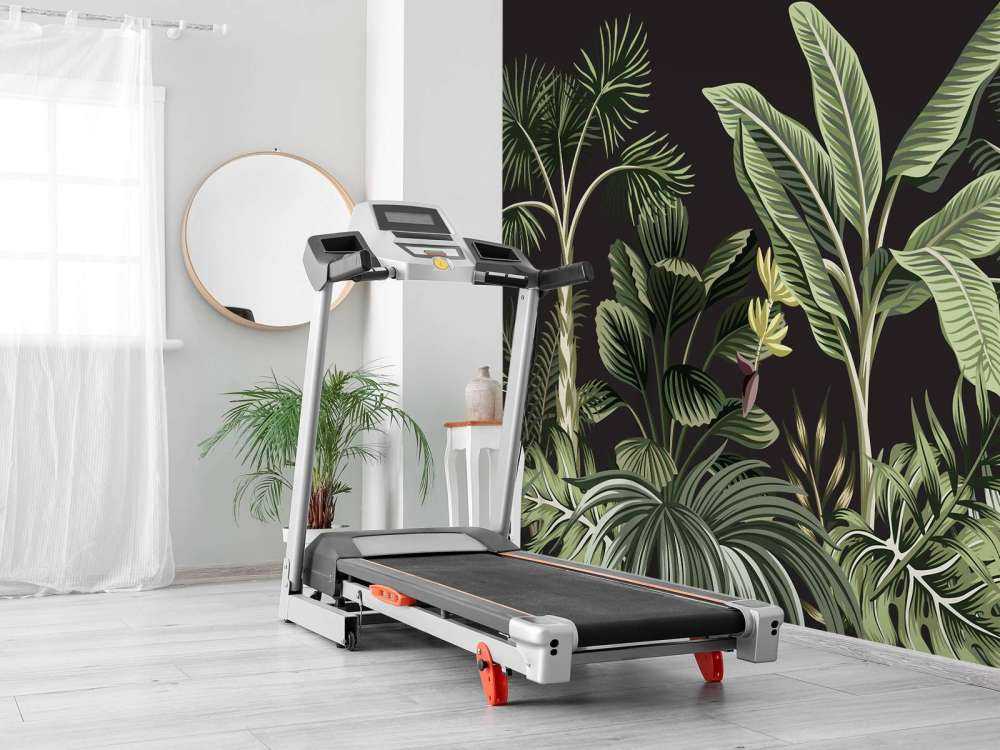 Palmier tropical sur fond sombre